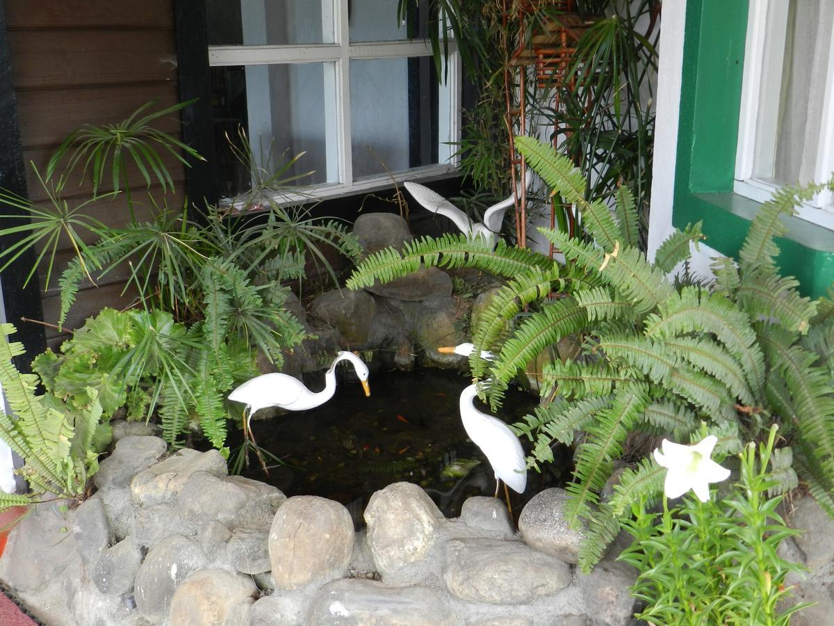 Eeescart Resort Nuwaraeliya Nuwara Eliya Zewnętrze zdjęcie